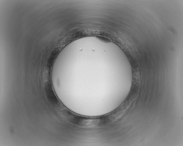 X0000114510323200911161300