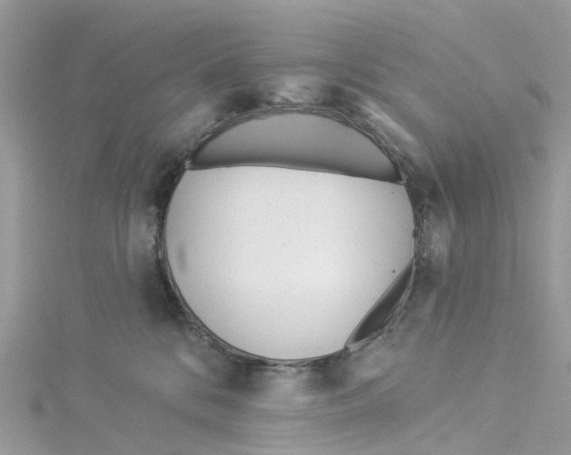 X0000114510328200911161300