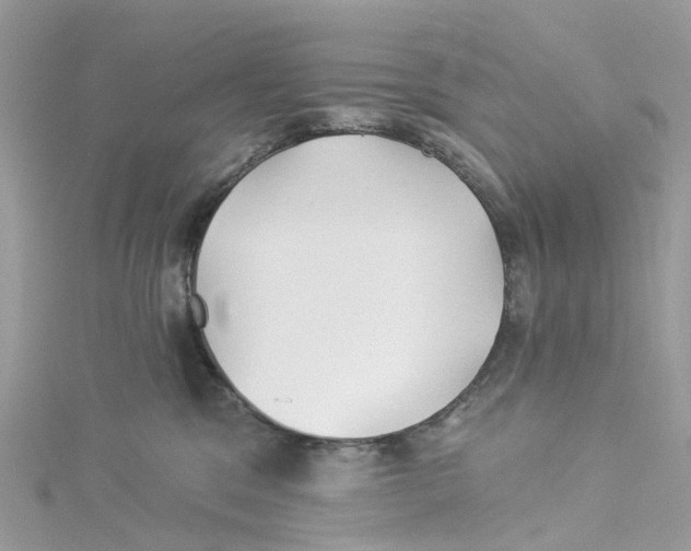 X0000114510329200911161300