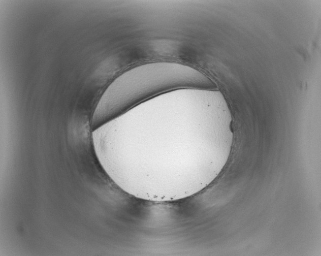 X0000114510336200911161300