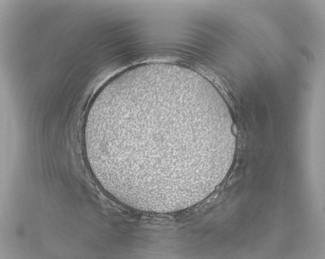 X0000114510337200911161300