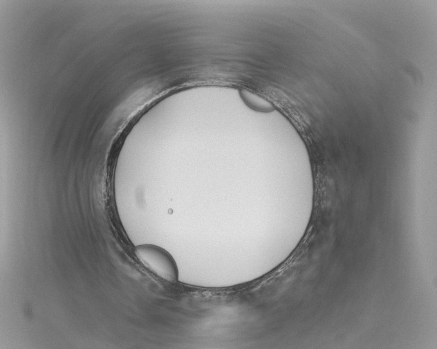 X0000114510338200911161300