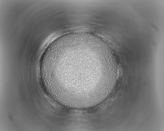 X0000114510339200911161300