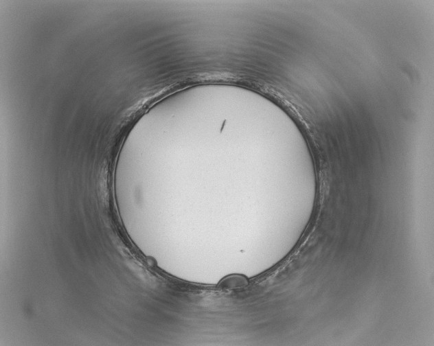 X0000114510345200911161300