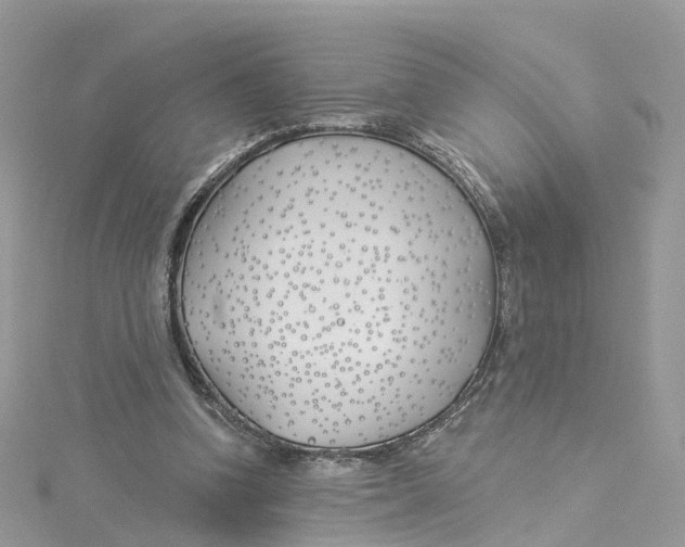 X0000114510346200911161300