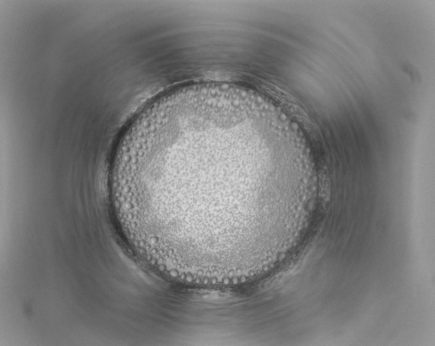 X0000114510347200911161300