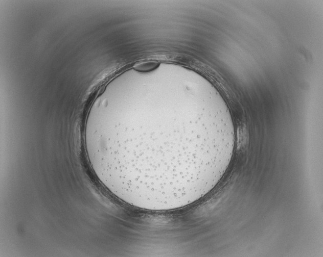 X0000114510349200911161300