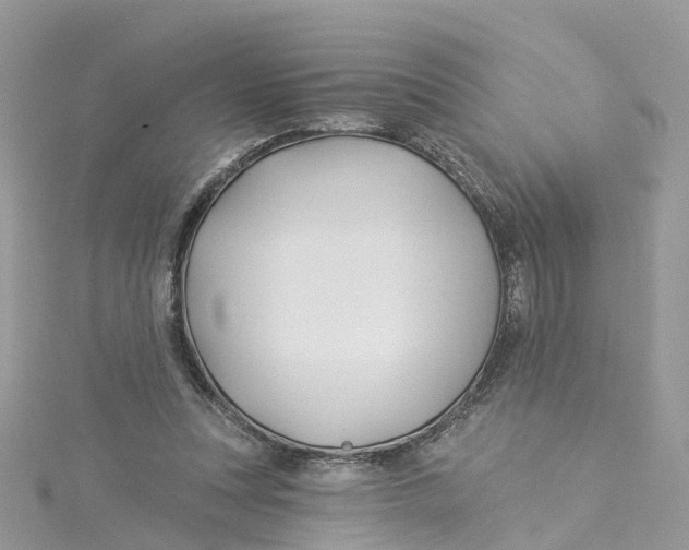 X0000114510351200911161300