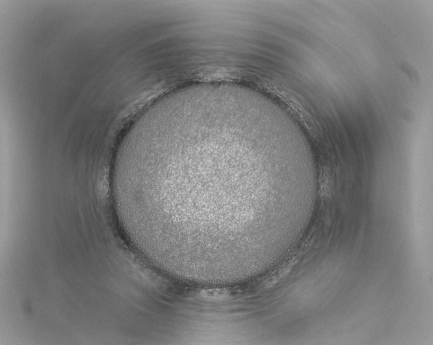 X0000114510353200911161300