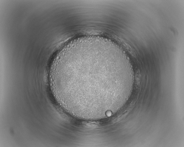 X0000114510359200911161300