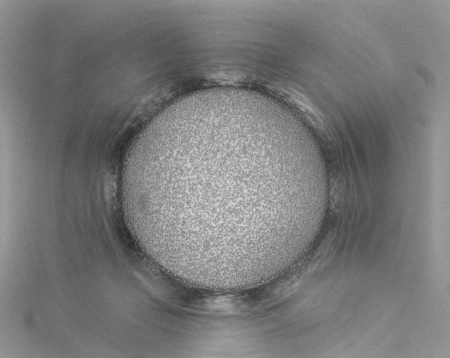 X0000114510365200911161300