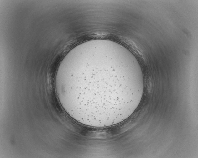 X0000114510366200911161300