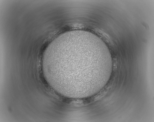 X0000114510369200911161300