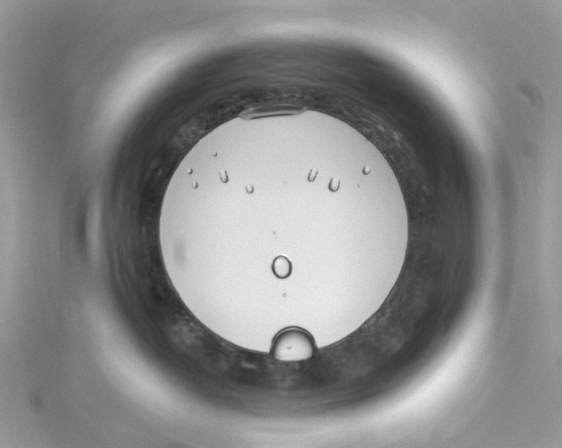 X0000114510382200911161300