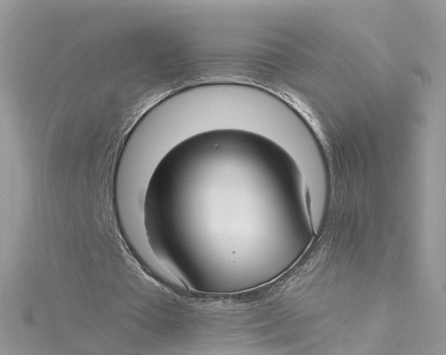 X0000114510385200911161259