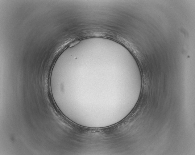 X0000114510386200911161259