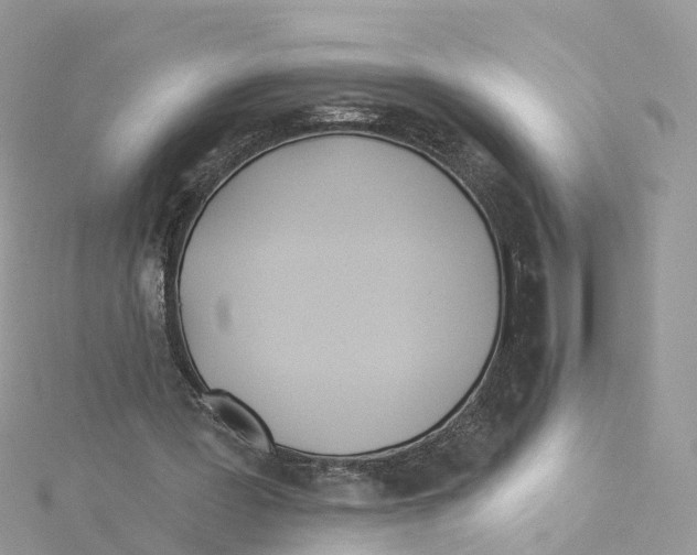 X0000114510387200911161259