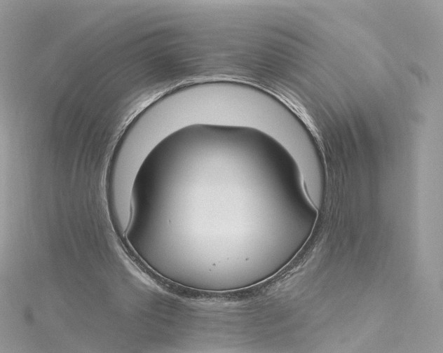 X0000114510389200911161259