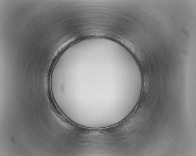 X0000114510390200911161259