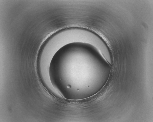 X0000114510391200911161259