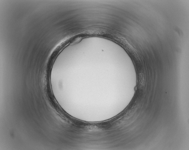 X0000114510392200911161259