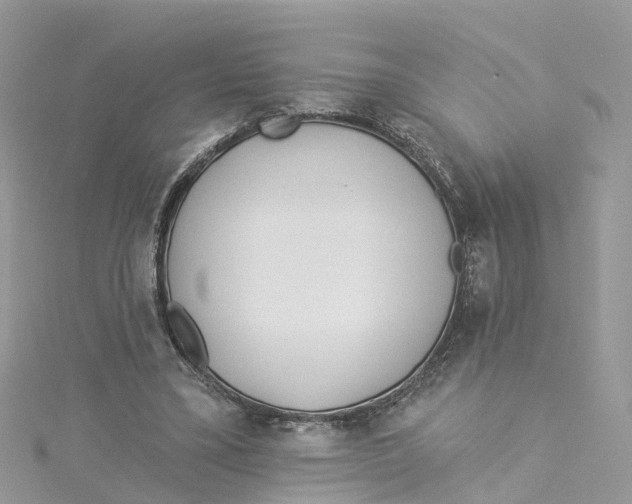 X0000114510395200911161259