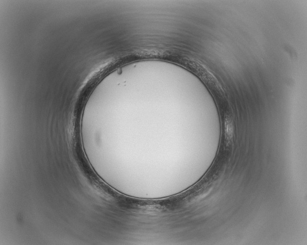 X0000114510396200911161259