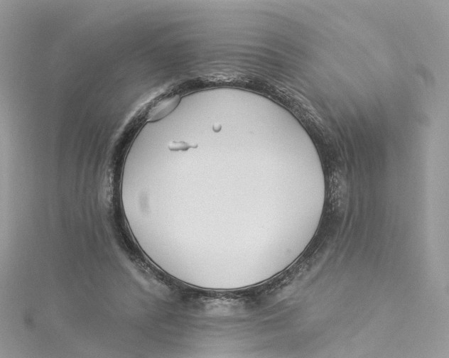 X0000114510400200911161259