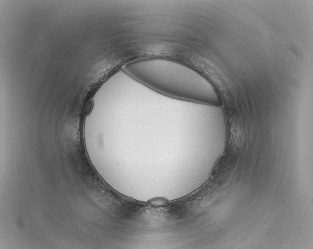 X0000114510403200911161259