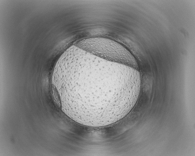 X0000114510405200911161259