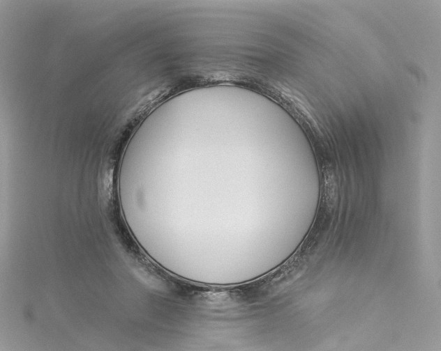 X0000114510406200911161259