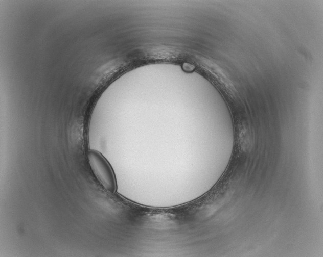 X0000114510407200911161259