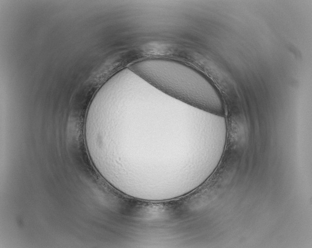 X0000114510409200911161259