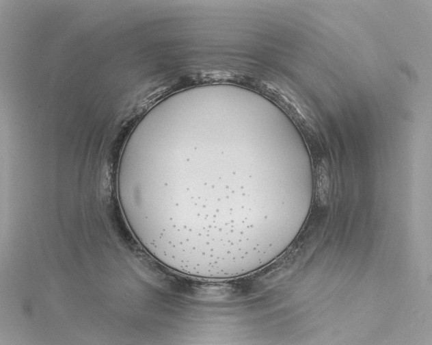 X0000114510410200911161259