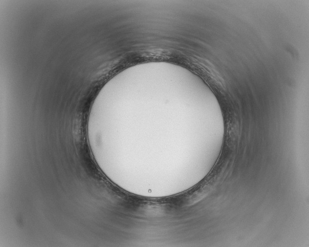 X0000114510416200911161259