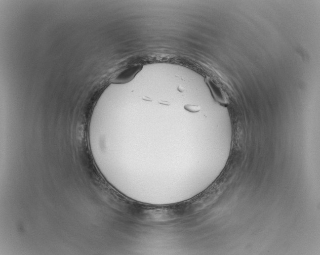 X0000114510417200911161259