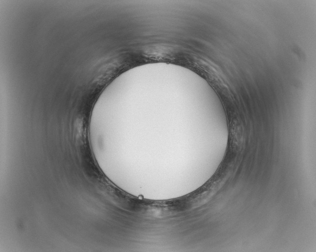 X0000114510420200911161259