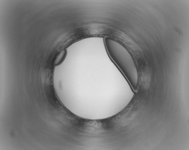 X0000114510421200911161259