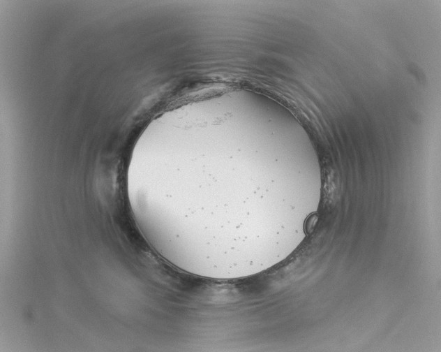 X0000114510424200911161259