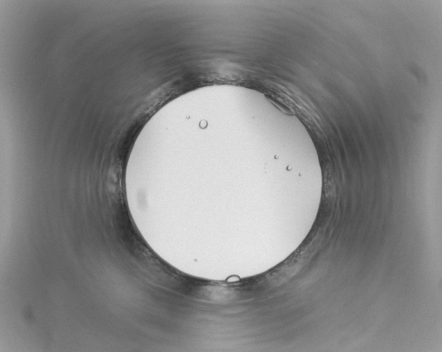 X0000114510425200911161259