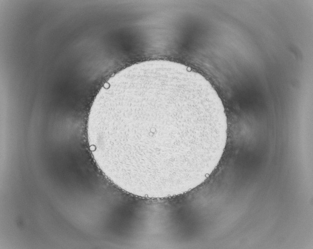 X0000114510427200911161259