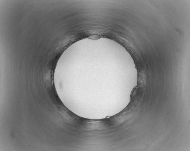 X0000114510428200911161259