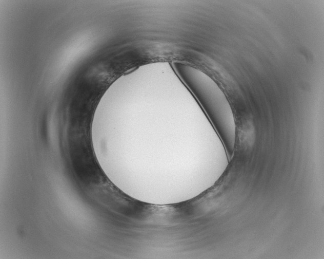 X0000114510429200911161259