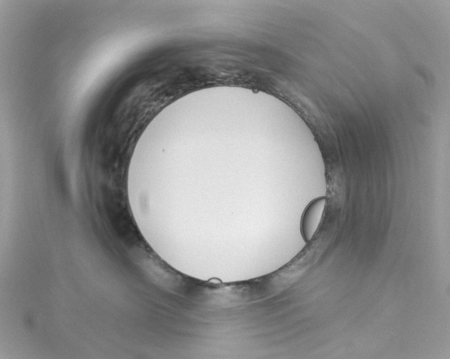 X0000114510430200911161259