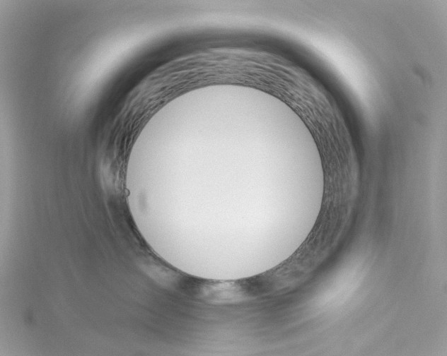 X0000114510431200911161259