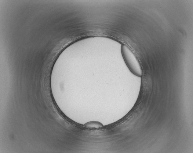 X0000114510433200911161258