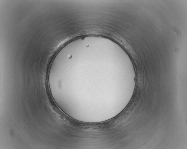 X0000114510434200911161258