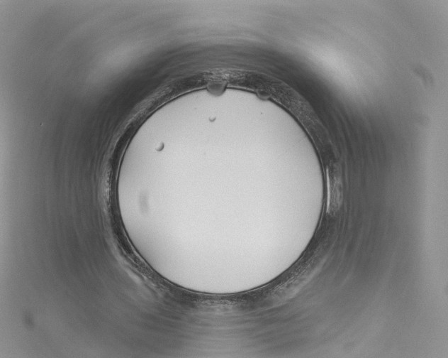 X0000114510435200911161258