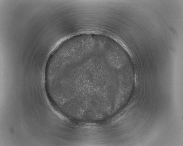 X0000114510438200911161258