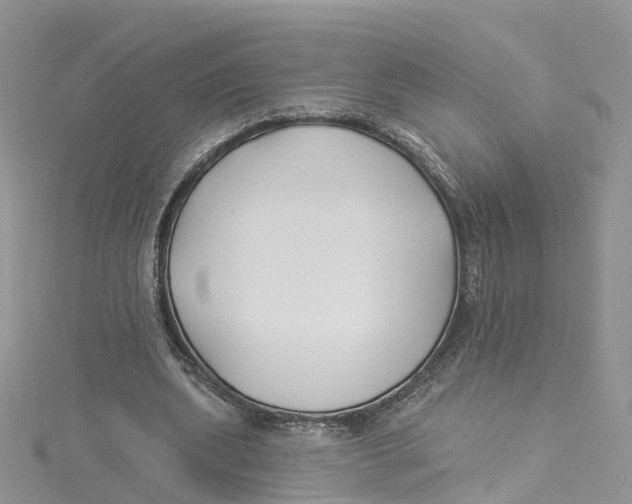 X0000114510439200911161258